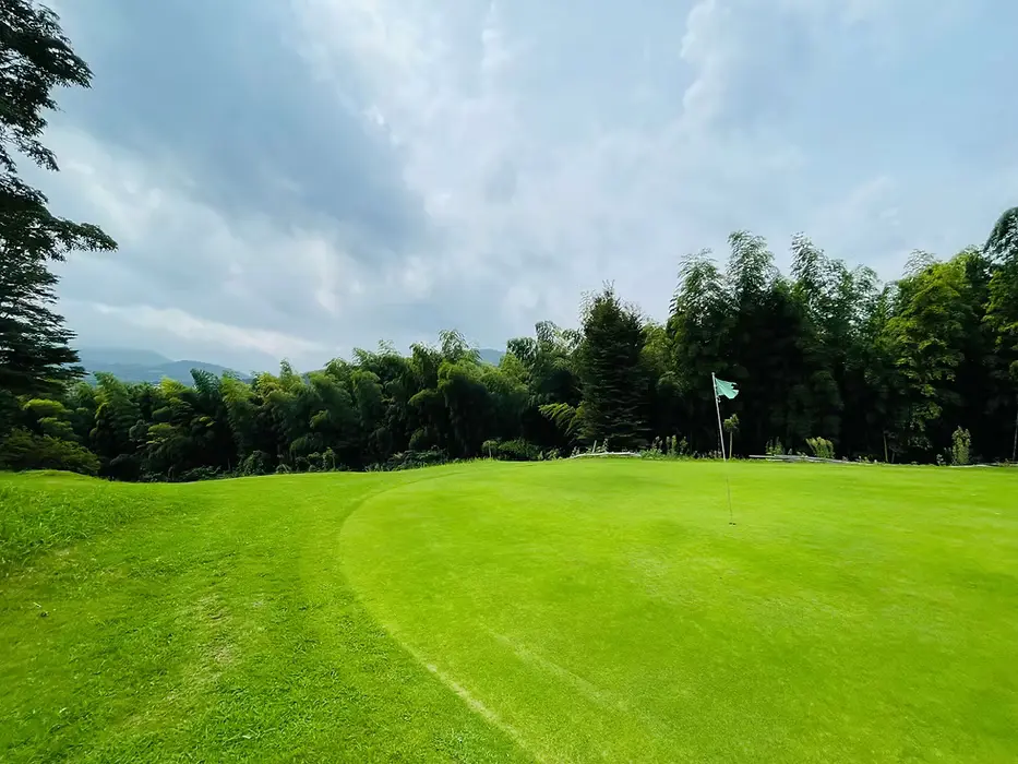 Luxury villa with golf course