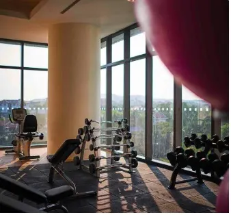 Glass-Walled Gymnasium