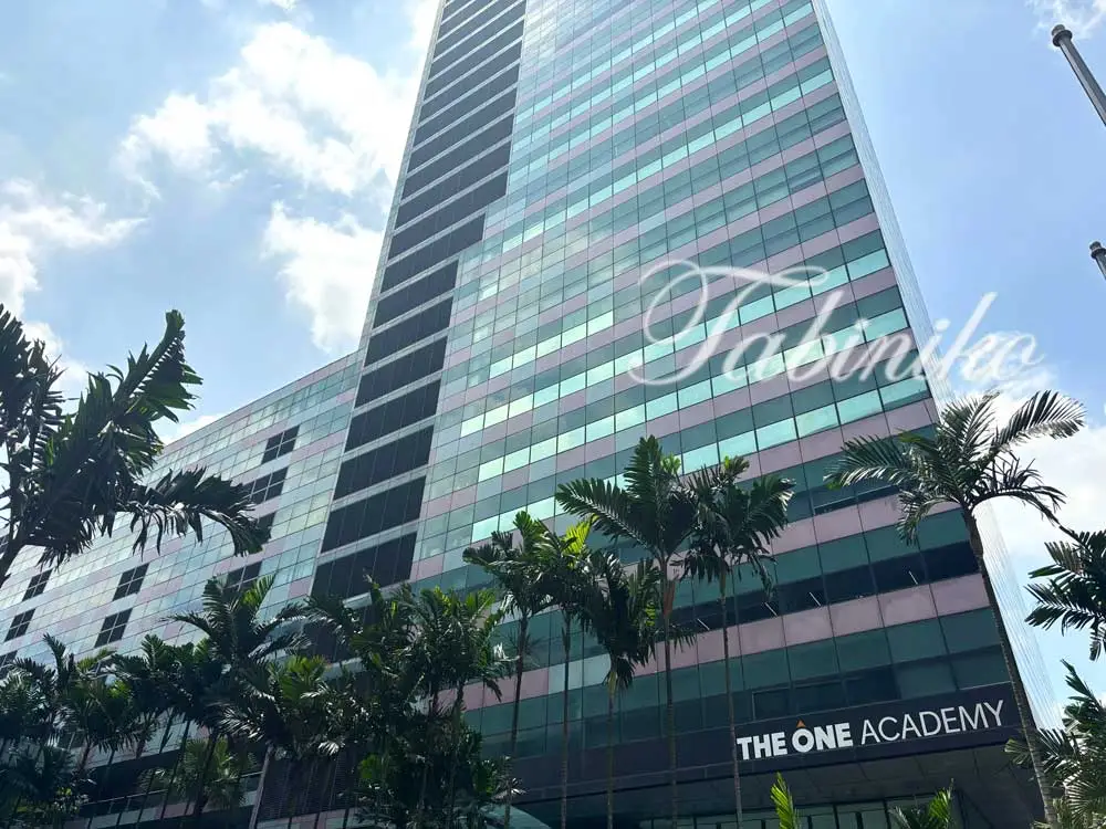 The One Academy