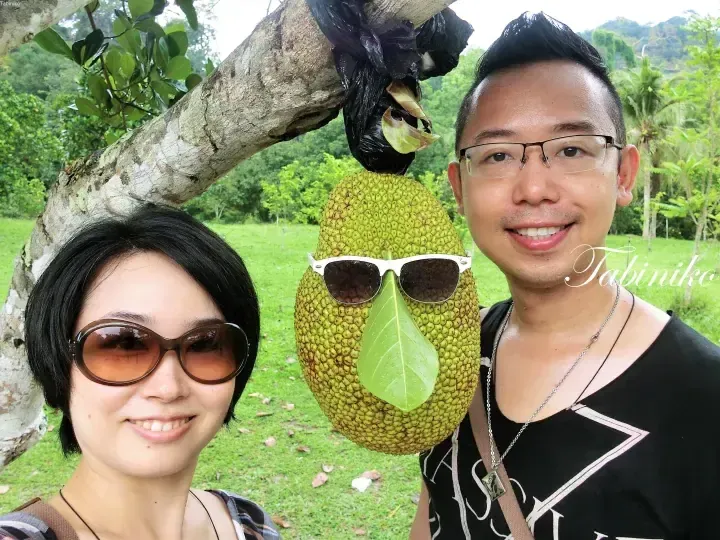 Langkawi Mardi Agrotechnology Park in Langkawi [Travel to Malaysia]