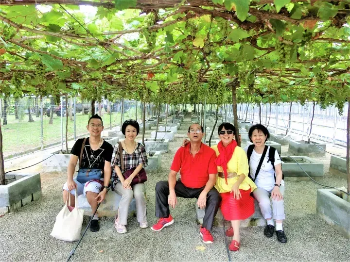 A group of five people sitting under a grape trellis at a vineyard in Malaysia.