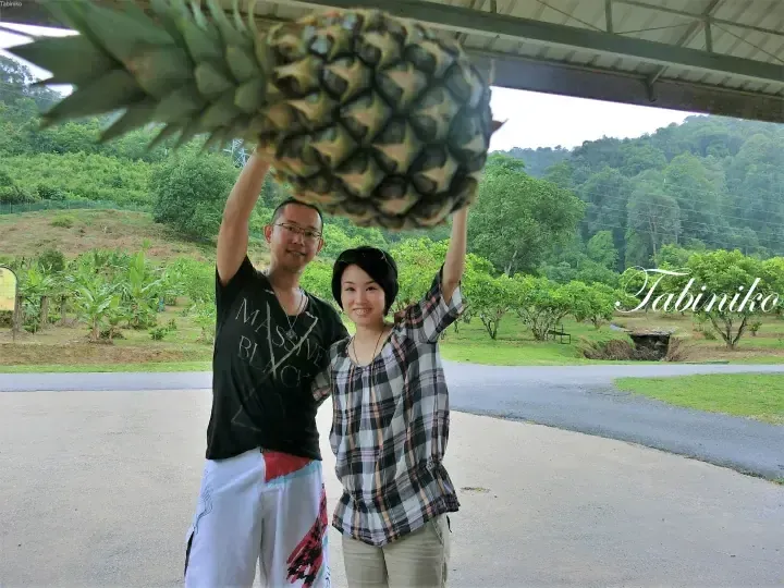 Couple holding up a giant pineapple at a fruit farm in Malaysia with lush green hills in the background.