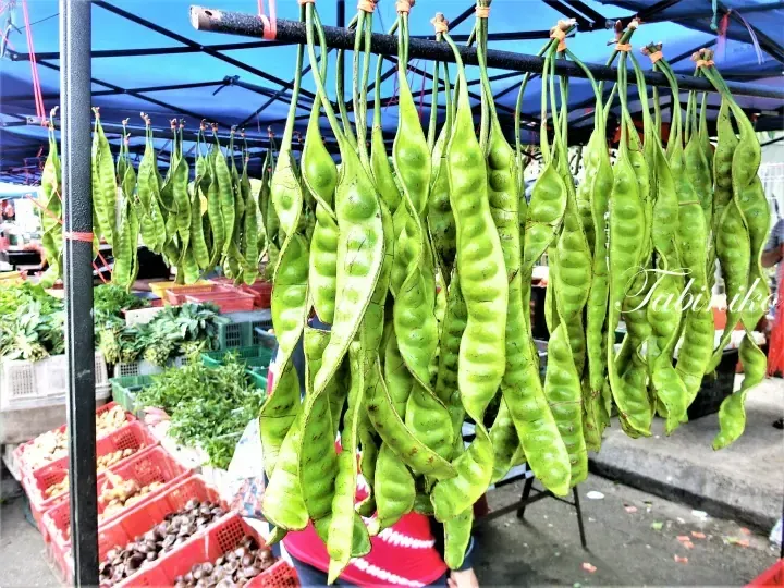 Fresh green stink beans hanging at a Malaysian market stall