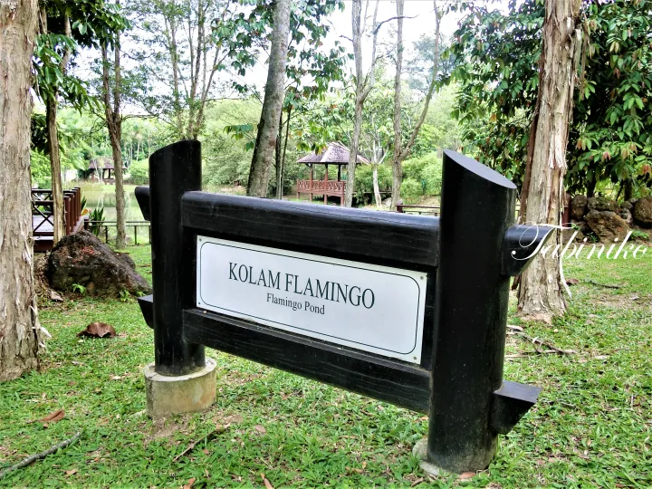 Signboard for Kolam Flamingo at Tabin Wildlife Resort, surrounded by lush greenery and a wooden gazebo.
