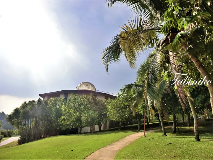 A building with a dome roof seen through lush green trees and palm fronds under a bright blue sky.