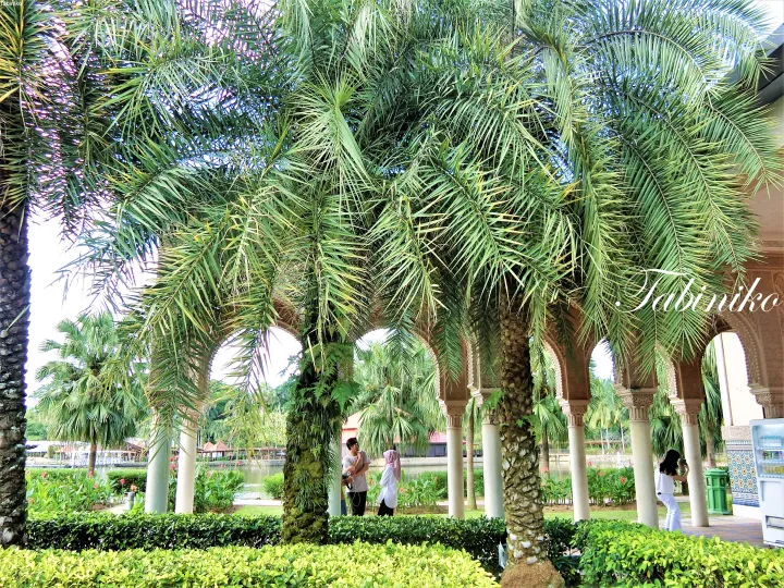 Tall date palms frame a colonnade with arched openings overlooking a serene lake at a tropical resort.