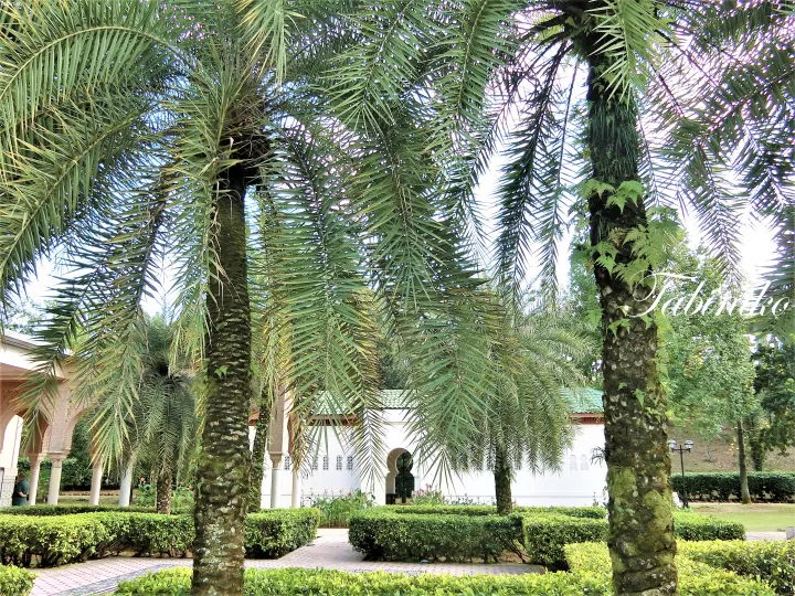 Palm trees frame a view of the white mosque with green roof at Taman Tasik Puteri, Ipoh.