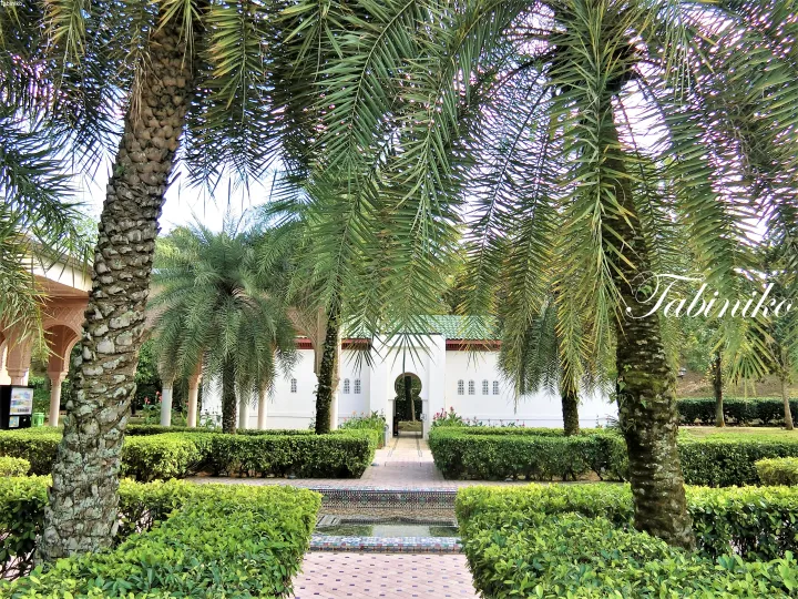 Lush palm trees and manicured hedges frame a pathway leading to a white building with Moorish arches at a tropical resort.