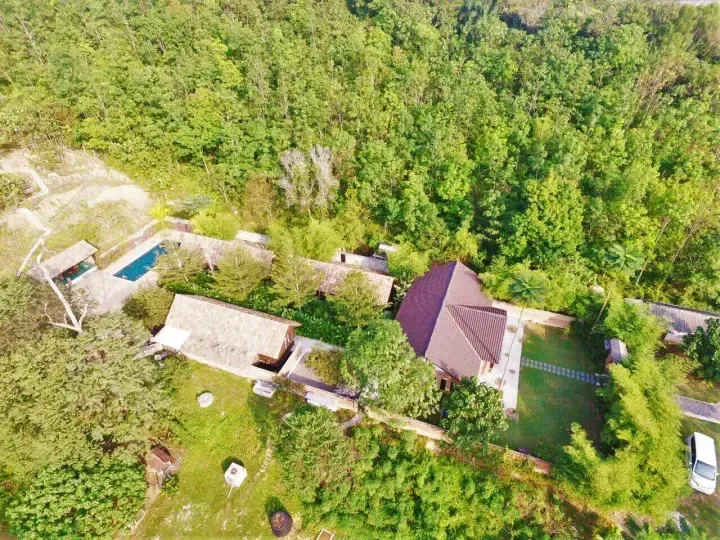 Aerial view of a tropical property with a pool and wooden villas surrounded by lush green forest.