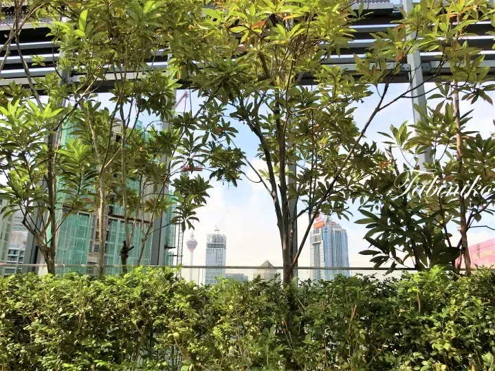 綠樹環繞吉隆坡天際線，背景中可見Menara KL塔和AmBank大廈。