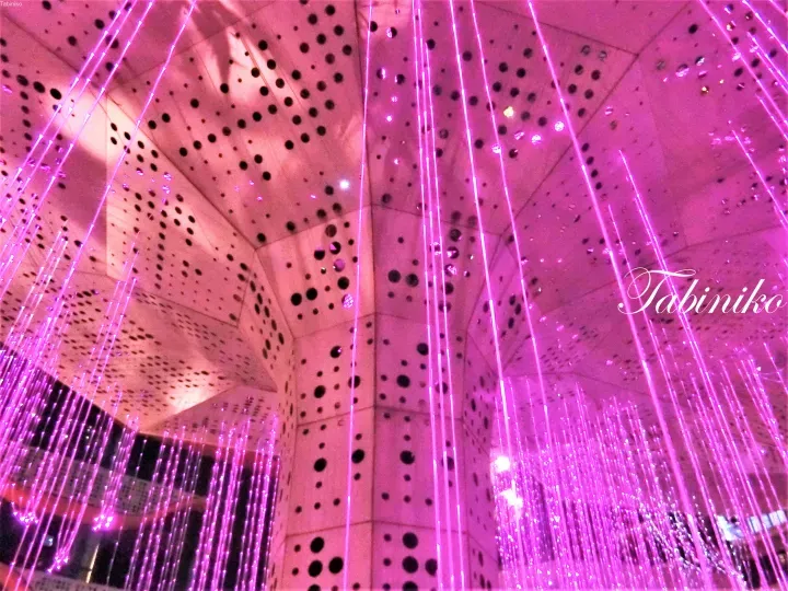 Vibrant pink fiber optic lights hanging from a perforated ceiling, creating a modern interior ambiance.