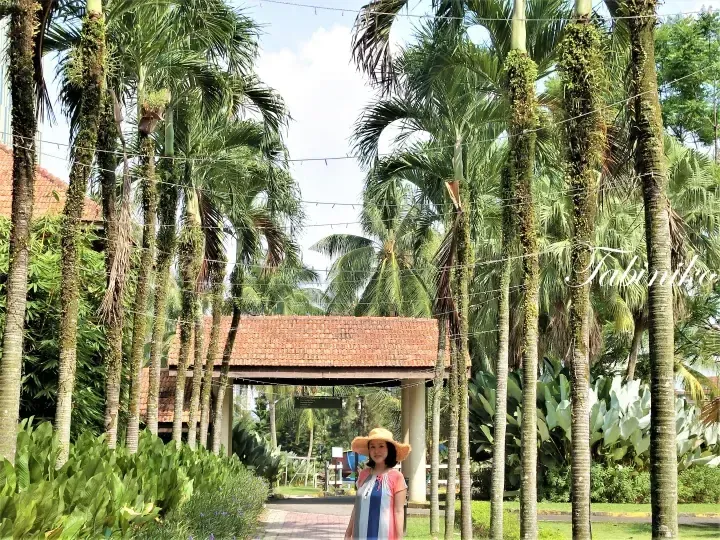 Woman in straw hat standing under a tiled-roof pavilion surrounded by tall palm trees in a lush tropical garden.