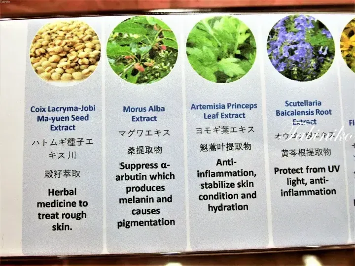 Display of herbal extracts including Coix Lacryma-Jobi, Morus Alba, Artemisia Princeps, and Scutellaria Baicalensis with their skincare benefits.