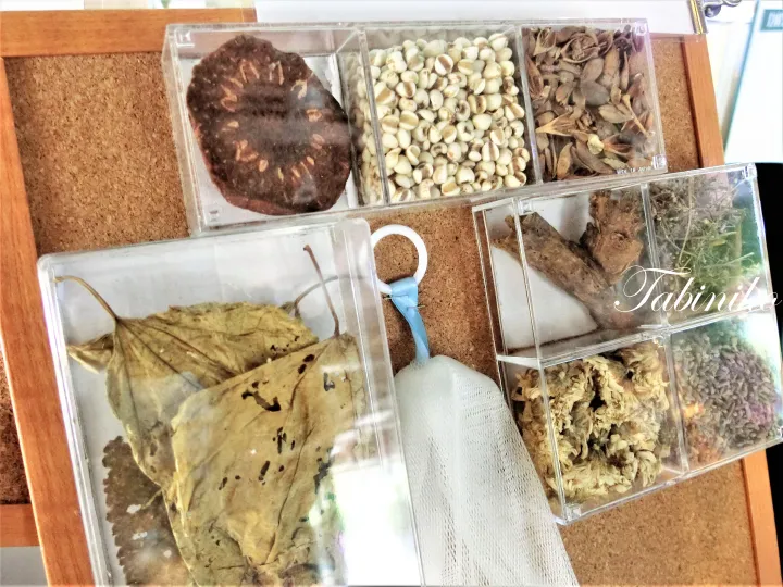 コルクボードに置かれた透明な容器に入った乾燥ハーブや植物の展示。