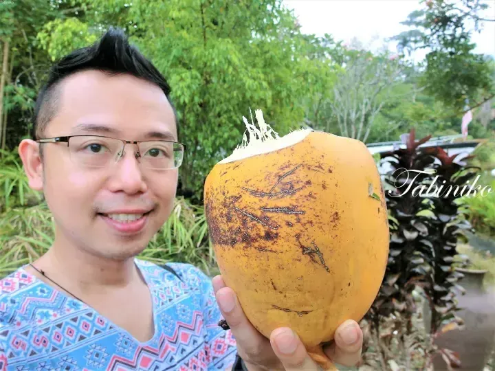 A smiling man in a patterned shirt holds a large yellow coconut with a cut top against a lush green tropical background.