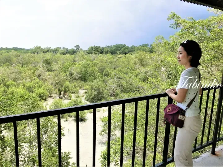 Woman standing on a balcony overlooking a lush mangrove forest in Malaysia.