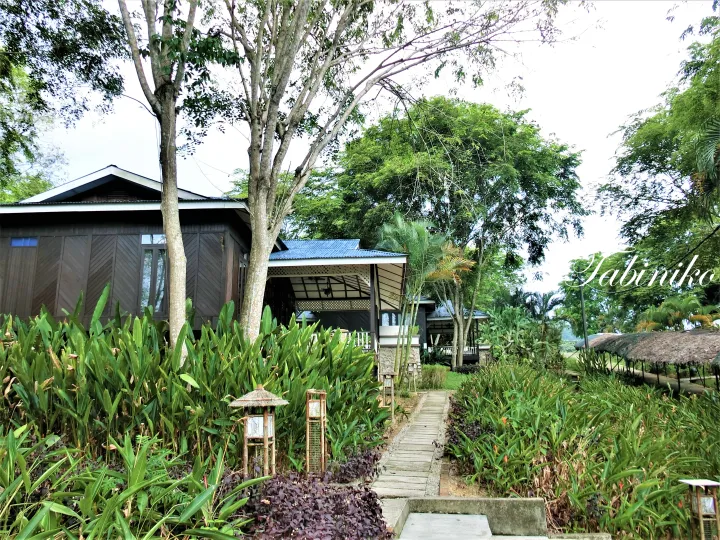 熱帯植物に囲まれたTabin Eco Resortの木造バンガローと木製遊歩道。