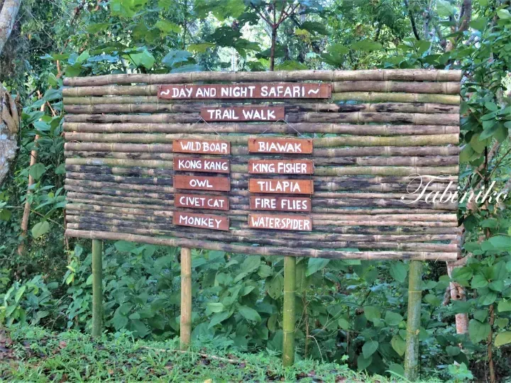 A bamboo signboard listing animals like Wild Boar and Civet Cat for the Day and Night Safari Trail Walk.