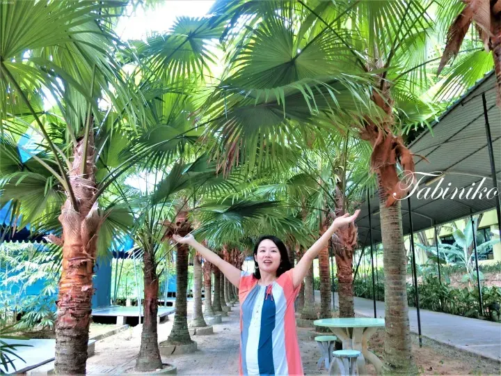 Smiling woman posing with arms raised among palm trees at an outdoor resort area.