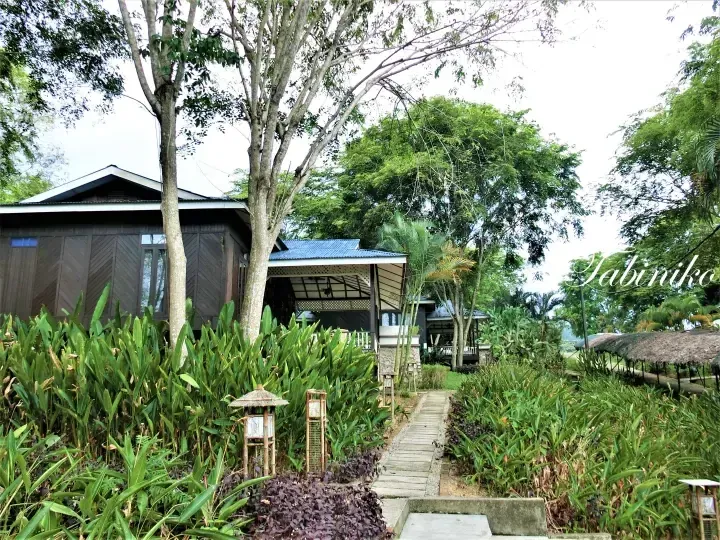 Wooden bungalow at Tabin Eco Resort surrounded by lush tropical greenery and a wooden walkway.