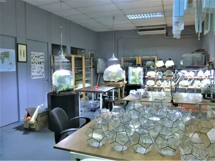 Interior of a terrarium workshop with geometric glass containers on tables and shelves of plants under grow lights