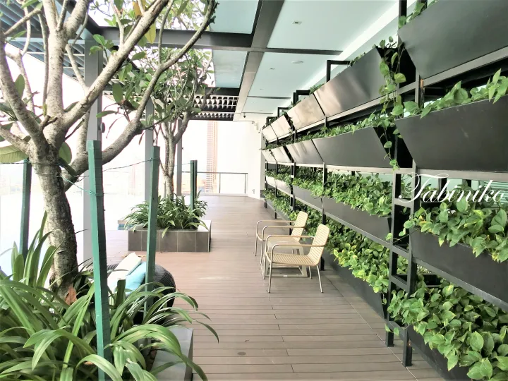 都市のスカイラインを望む、木製デッキと緑豊かな壁面植栽が特徴的なモダンな屋上テラス。