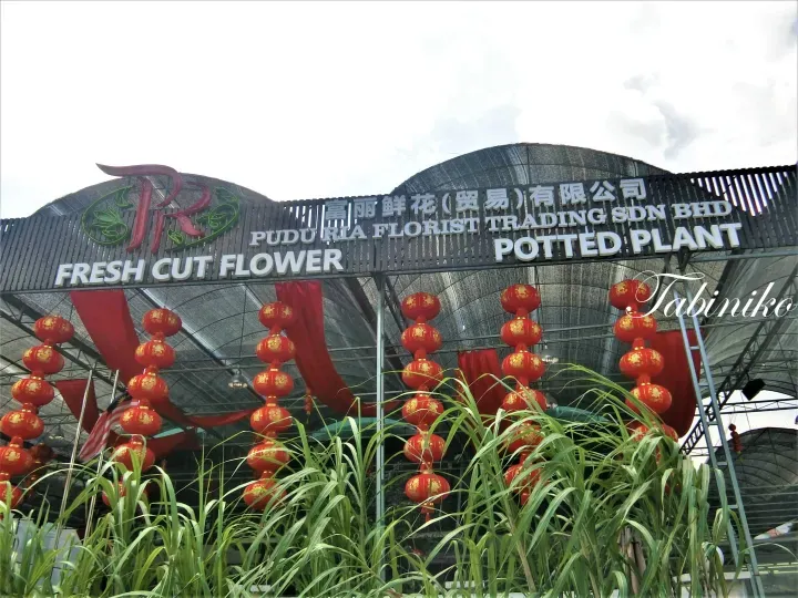 掛滿紅燈籠的富麗鮮花(貿易)有限公司Pudu Ria Florist Trading Sdn Bhd店面招牌