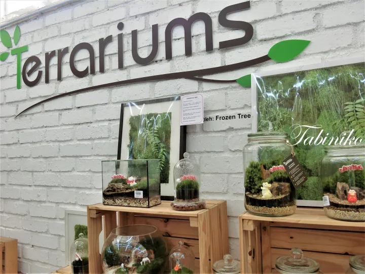 保存苔の額縁やガラス瓶に入ったミニチュア景観を展示する「Terrariums」のショップディスプレイ。
