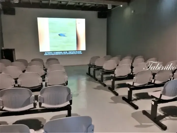 Rows of empty grey seats facing a projection screen showing a bird with Chinese and English subtitles in a presentation room.