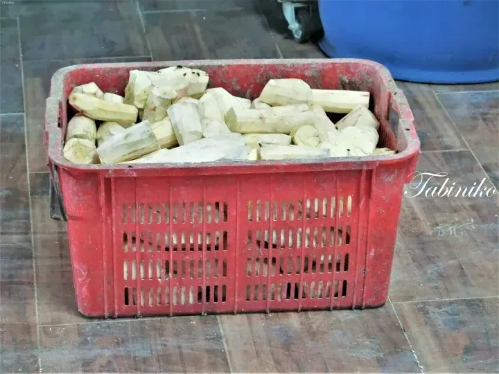 Red plastic crate filled with peeled sugarcane pieces on a tiled floor.