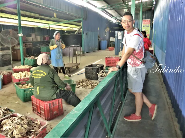 クアラルンプール・セランゴール州のSg. Sawa Malayan Food Industries工場でサゴの加工を見学する訪問者。