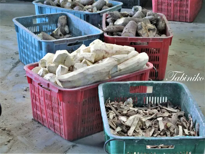 マレーシアの市場で、皮をむいたキャッサバの根と皮が入ったプラスチック製の箱。