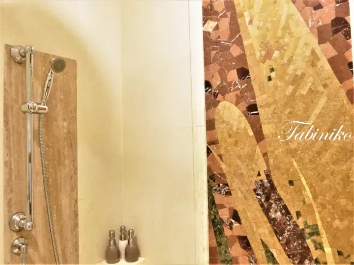 Luxury bathroom shower with mosaic tile wall and marble accents