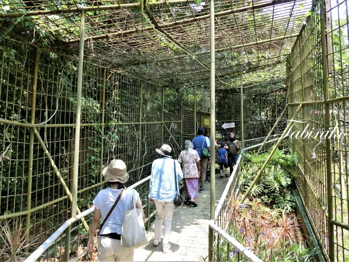 Visitors walk through a covered metal walkway surrounded by lush greenery at a nature park.