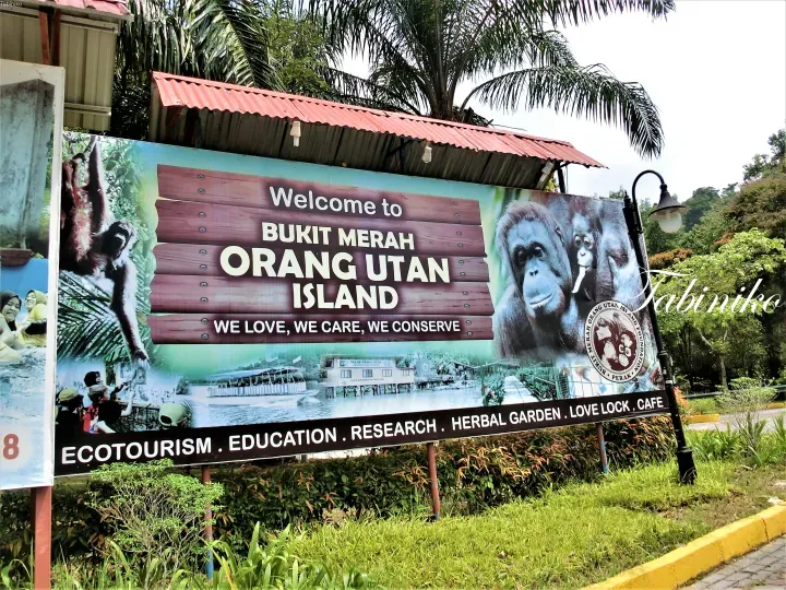 Welcome sign for Bukit Merah Orang Utan Island featuring orangutan images and ecotourism activities.