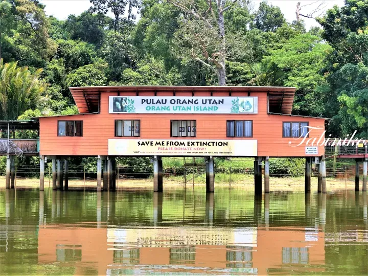 Pulau Orang Utan building on stilts over water with signs reading Orang Utan Island and Save Me From Extinction