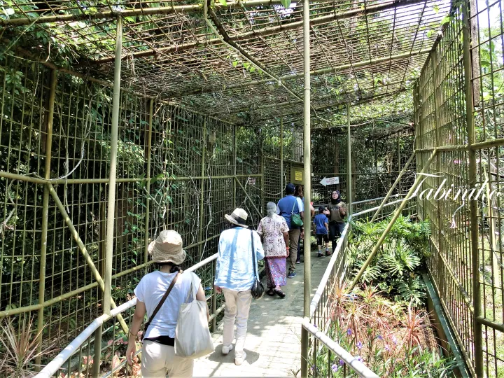 緑豊かな自然公園内の金属製覆い通路を歩く観光客たち。
