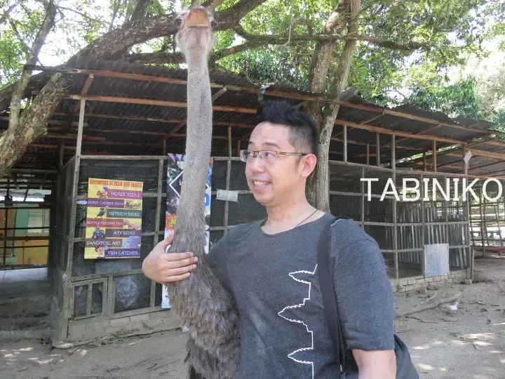 Man holding an ostrich neck at a farm with a sign listing activities like horse and ostrich rides.