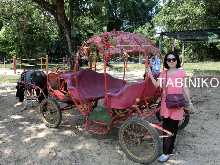 赤い馬車と並んで立つピンクの服装の女性。