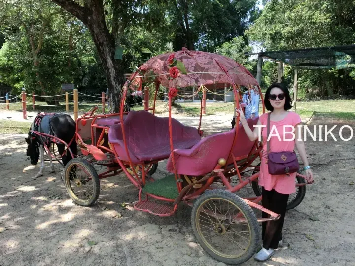 Woman in pink outfit stands beside a red horse-drawn carriage at a park.