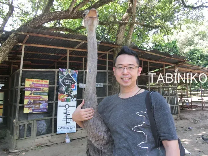 Smiling man posing with an ostrich at a farm, with activity posters for horse and ostrich rides visible in the background.