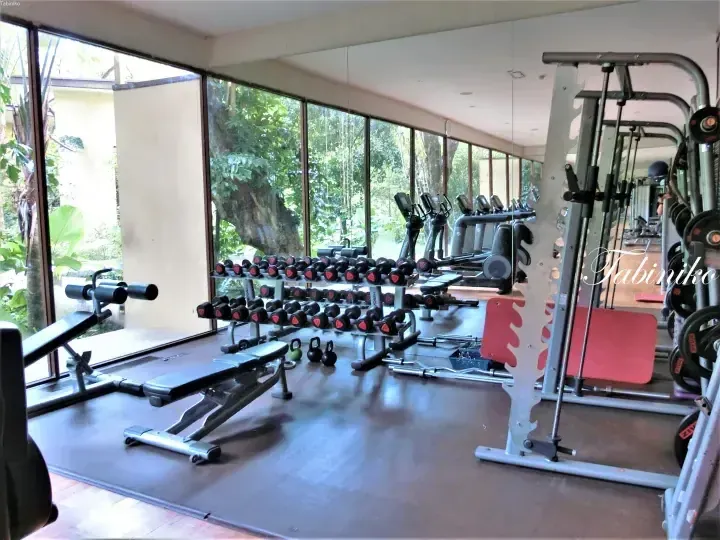 Well-equipped gym with dumbbells and cardio machines overlooking lush greenery through floor-to-ceiling windows