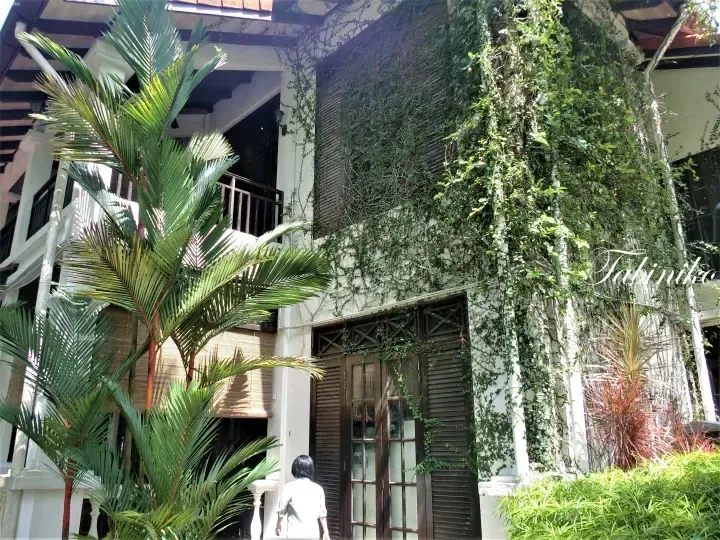 A colonial-style building with white walls and dark wooden shutters, covered in lush green ivy and surrounded by tropical palm trees.