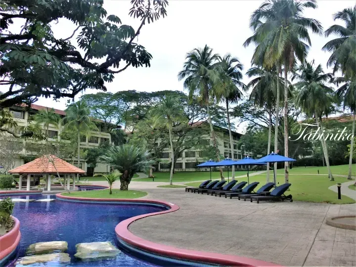Winding pool with blue loungers and umbrellas surrounded by palm trees at a tropical resort.