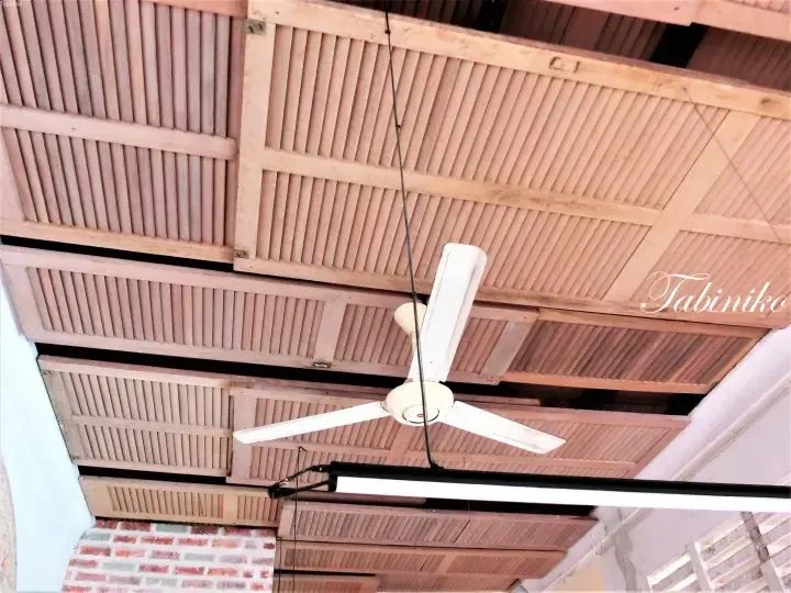 White ceiling fan and modern light fixture hanging from a wooden slat ceiling in a tropical property.