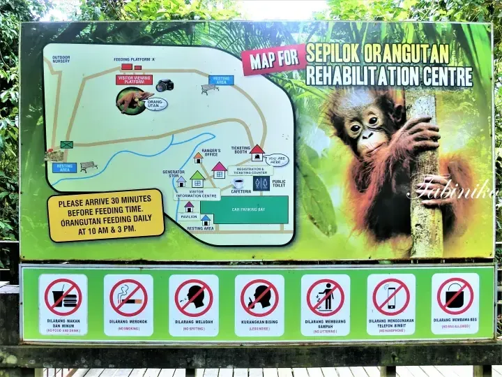 Map for Sepilok Orangutan Rehabilitation Centre showing feeding times and visitor rules.