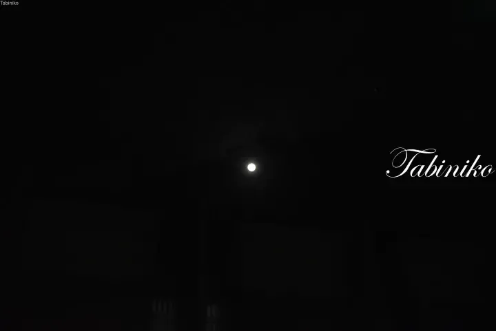 Bright full moon shining in the dark night sky above a building, with the word Tabiniko written in white script.