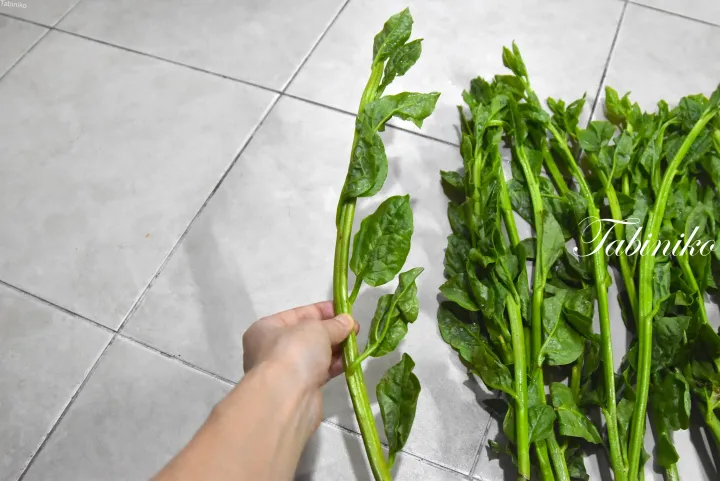 タイルのキッチンカウンターに置かれた新鮮なほうれん草の茎を手に持つ様子。
