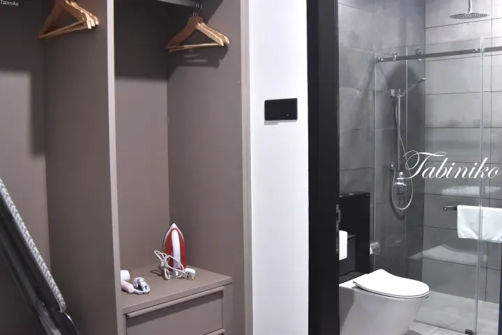 Modern hotel room interior featuring a wardrobe with hangers, an iron, and a glass-enclosed bathroom with grey tiles.