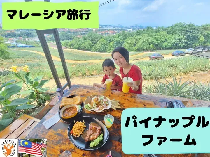 [Travel to Malaysia] Recharge Your Energy with Fresh Pineapple Juice and Pineapple Rice at Pineapple Farm Cafe 😋